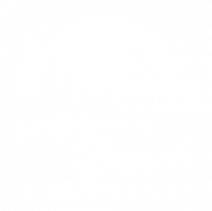 forest and beach